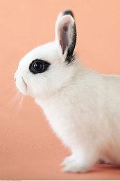 《机场：模拟地勤》8月1日登陆XSX 新预告发布